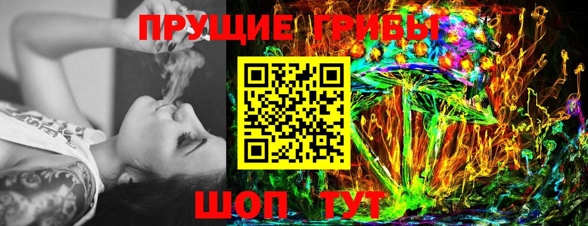 Галлюциногенные грибы Psilocybine cubensis Сарапул