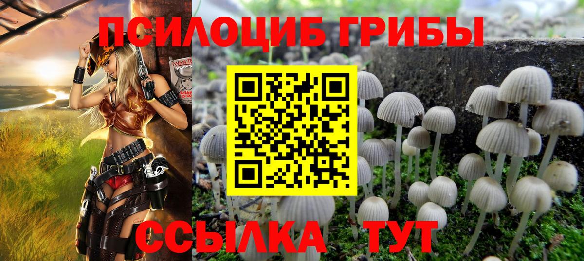 Псилоцибиновые грибы Psilocybe  где купить наркоту  Вход с VPN  Сарапул  Галлюциногенные грибы ЛСД 