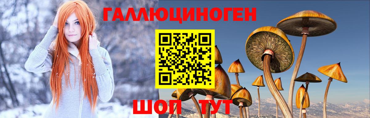 Псилоцибиновые грибы Magic Shrooms  Сарапул 